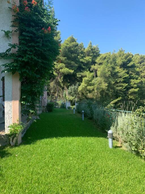 Amfiteatrico Sea View - Kalamos Attiki Apartment Markopoulon Oropou Exterior photo